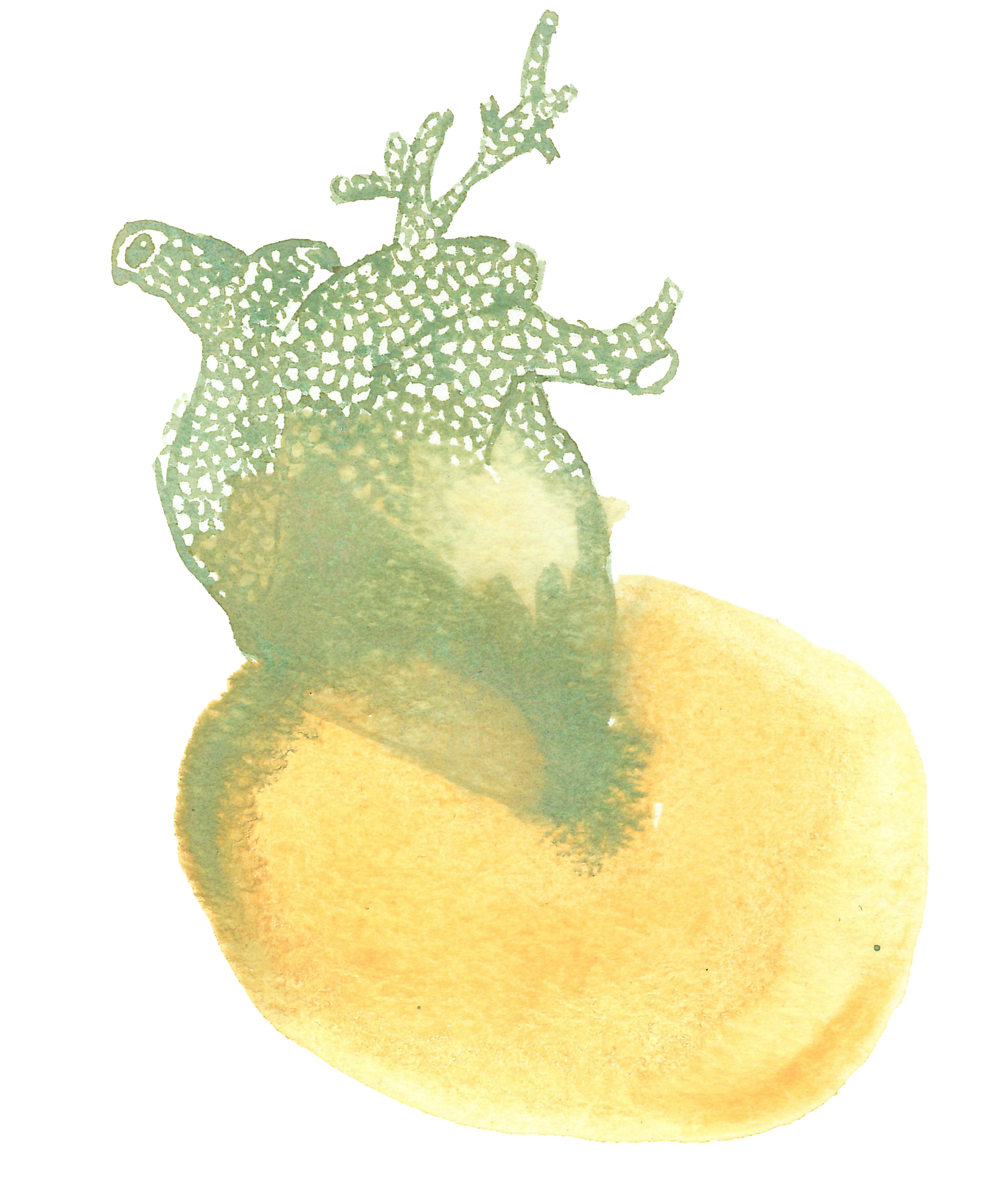 Coeur