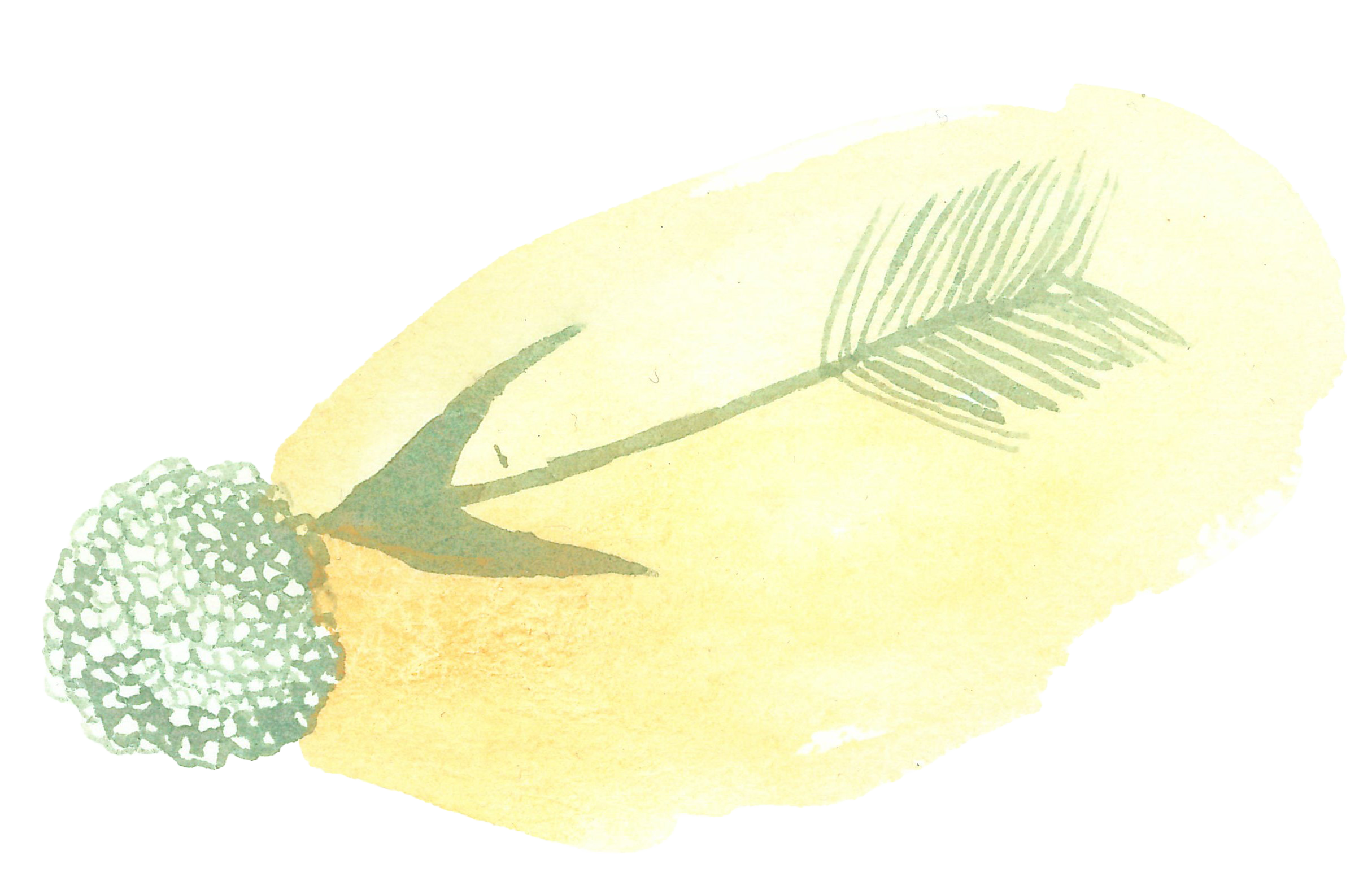 Flêche